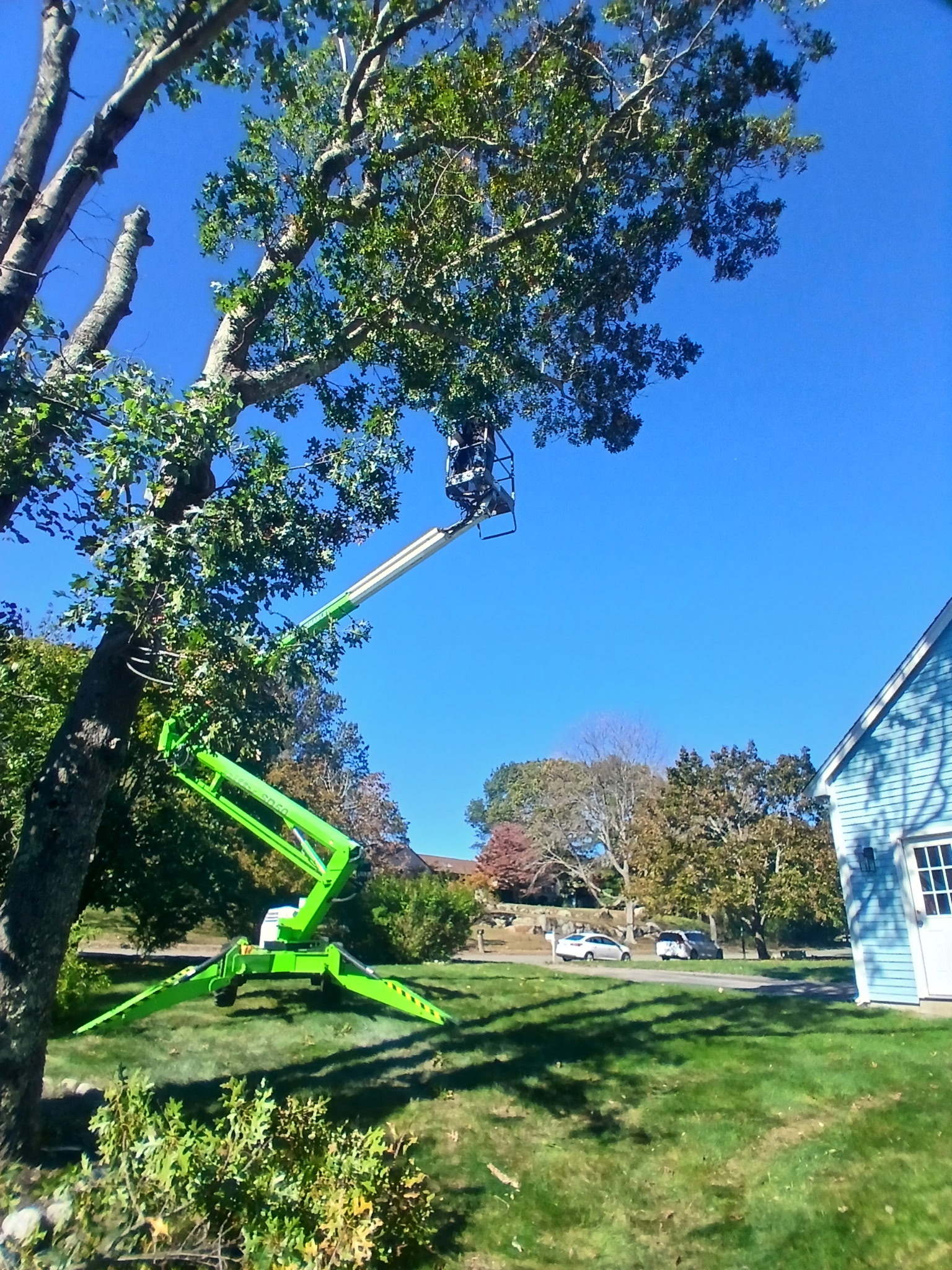 Liberty Tree Service gallery photo