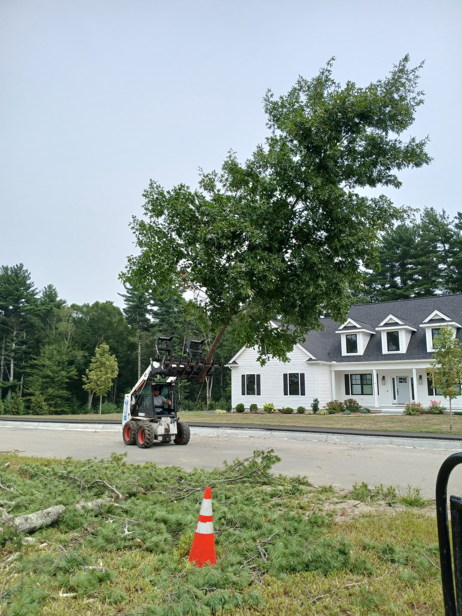 Liberty Tree Service gallery photo
