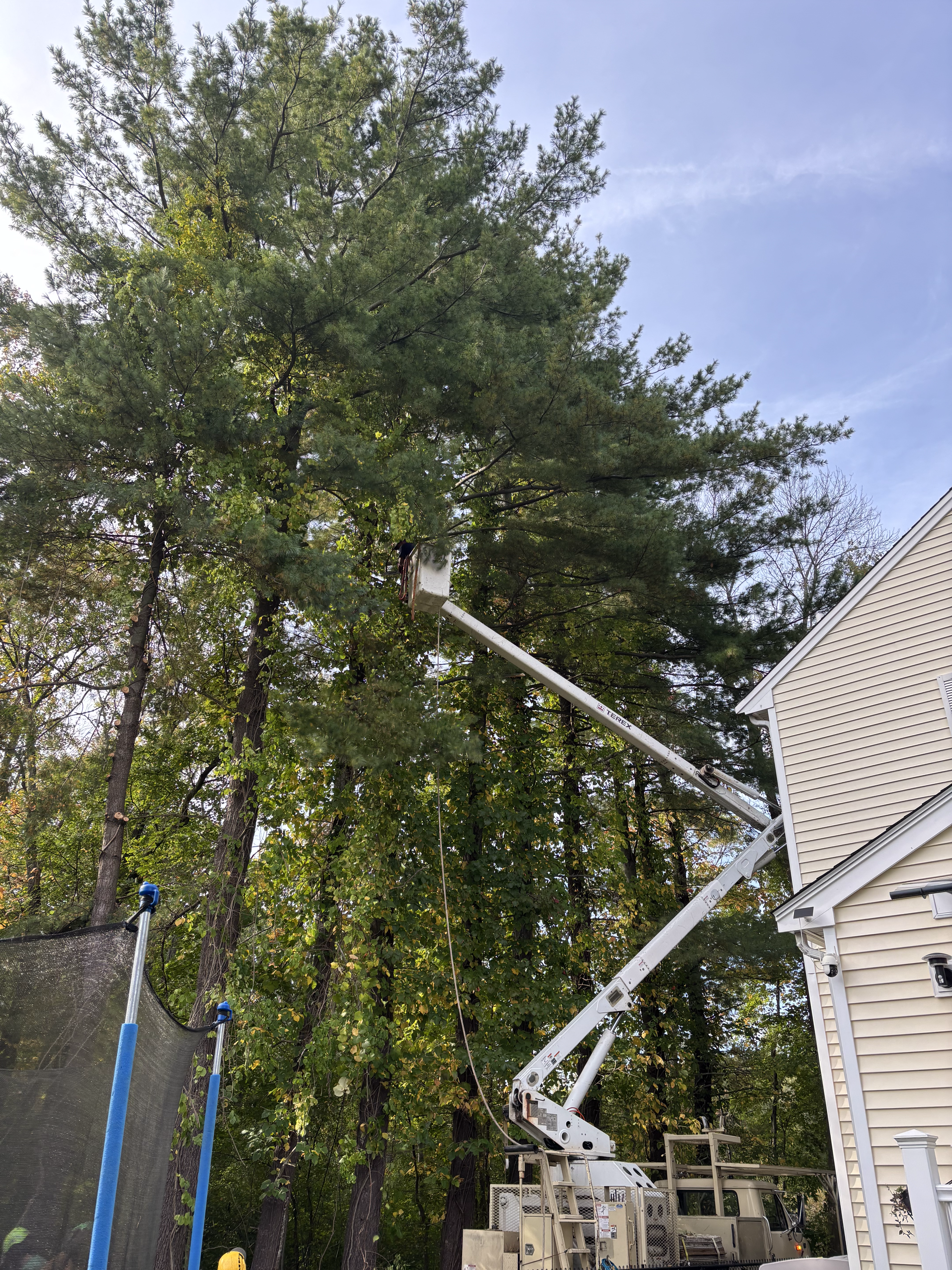 Liberty Tree Service gallery photo