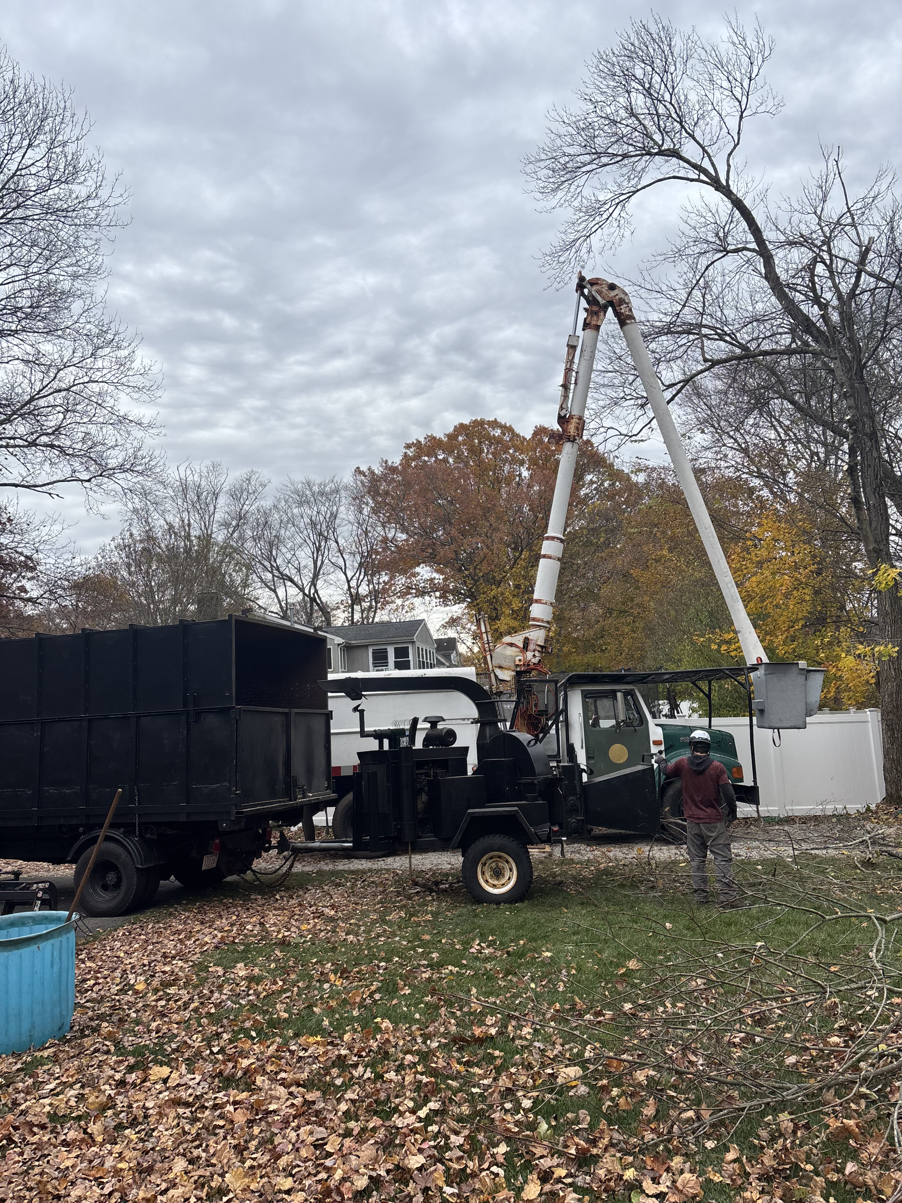 Liberty Tree Service gallery photo