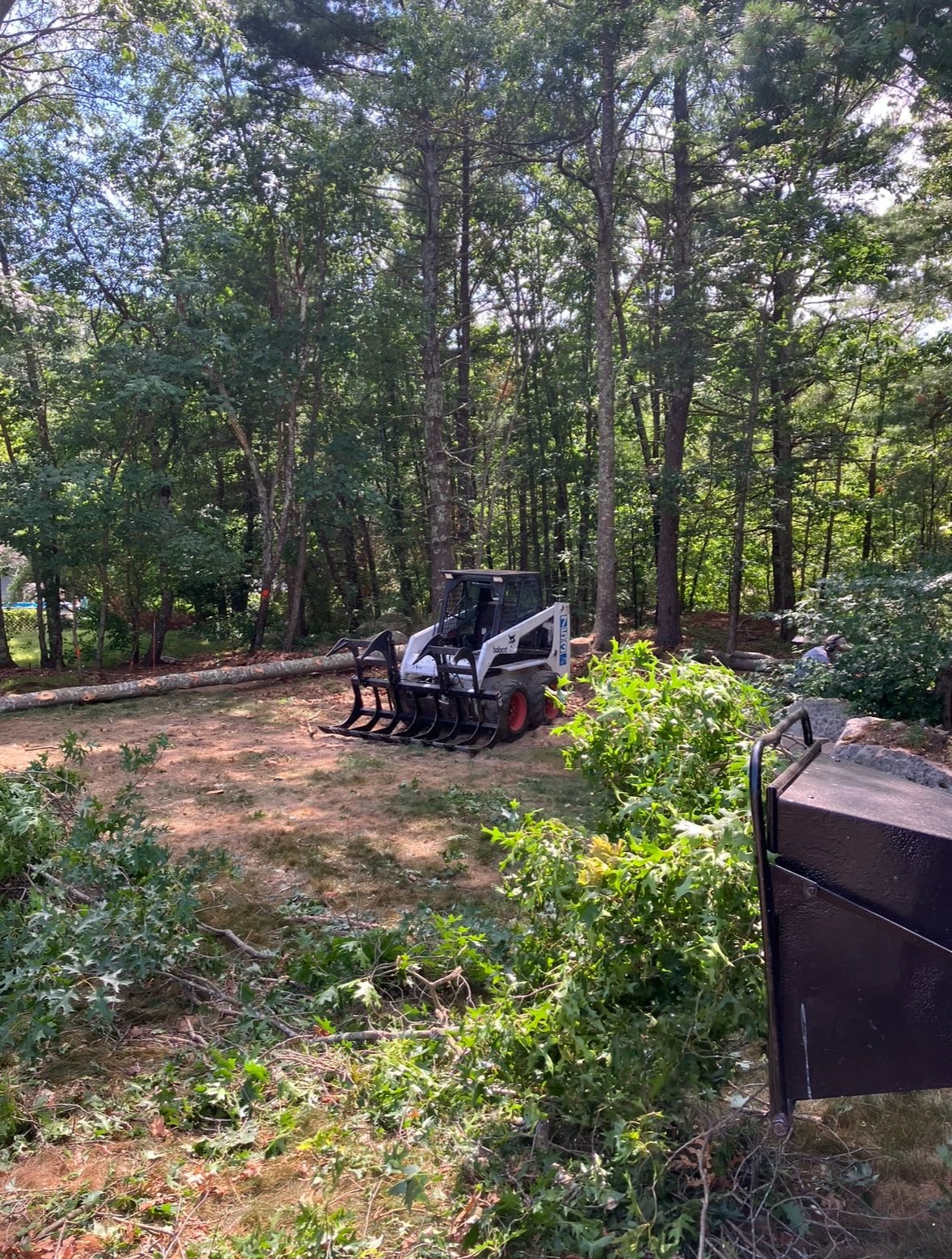 Liberty Tree Service gallery photo