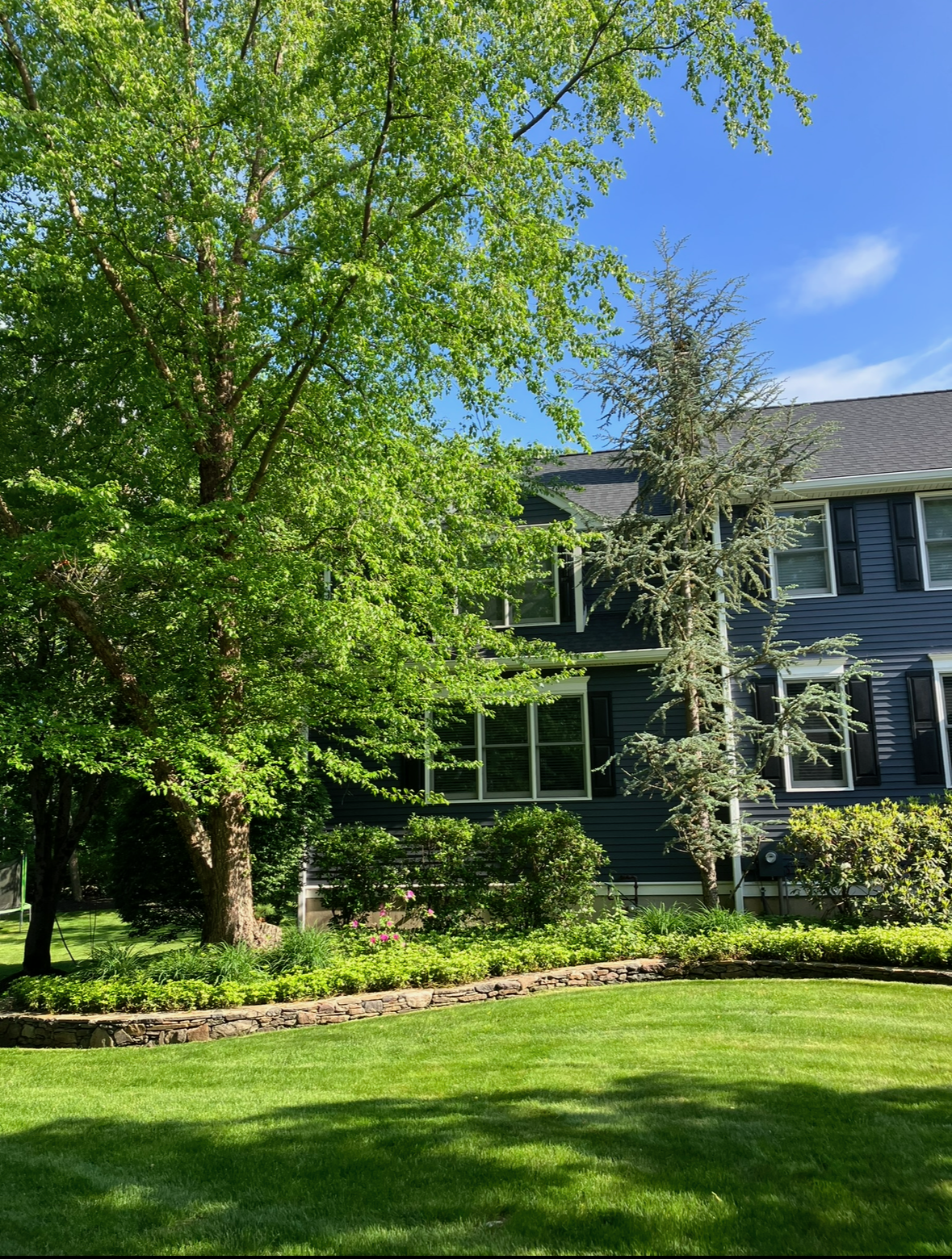 Liberty Tree Service gallery photo