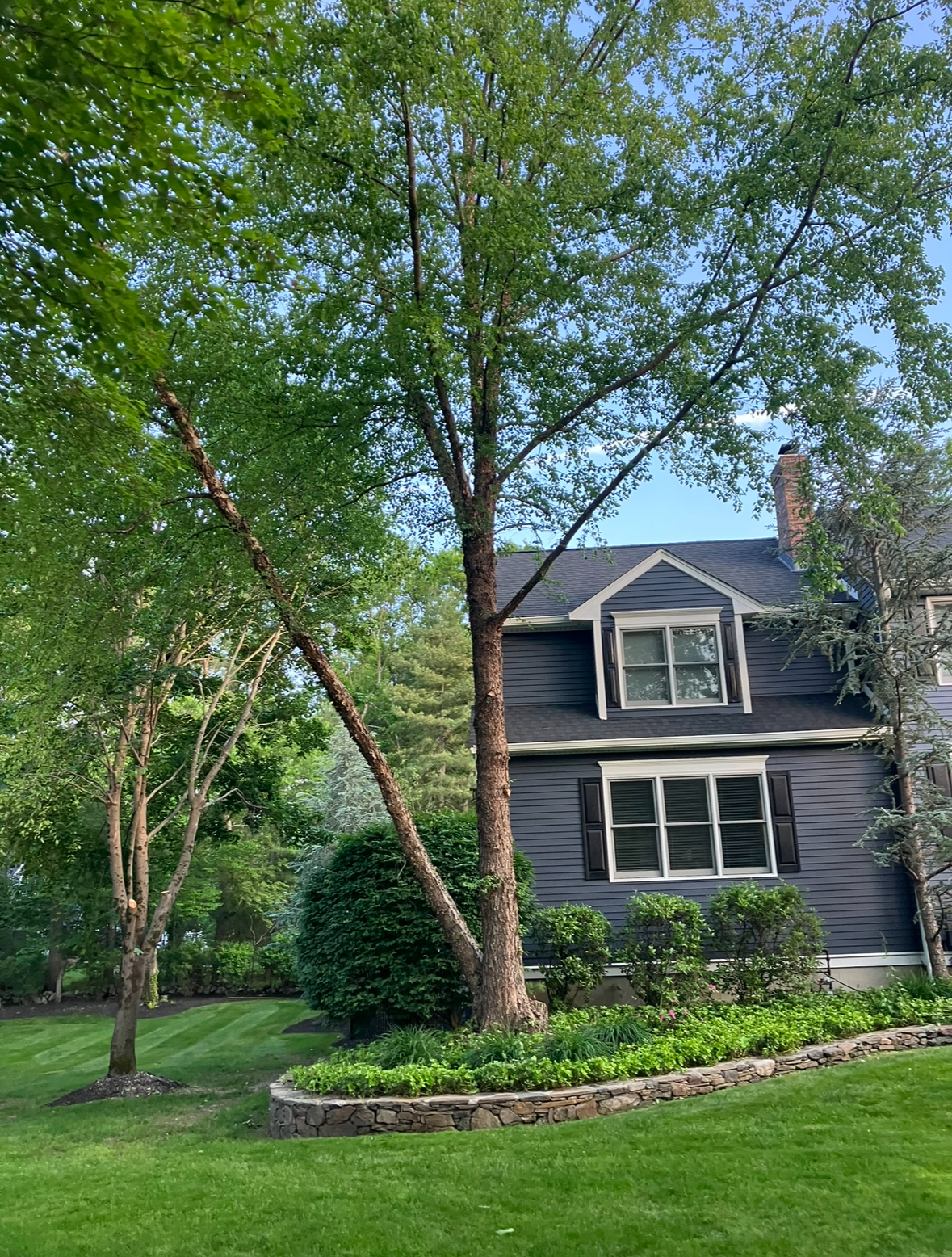Liberty Tree Service gallery photo