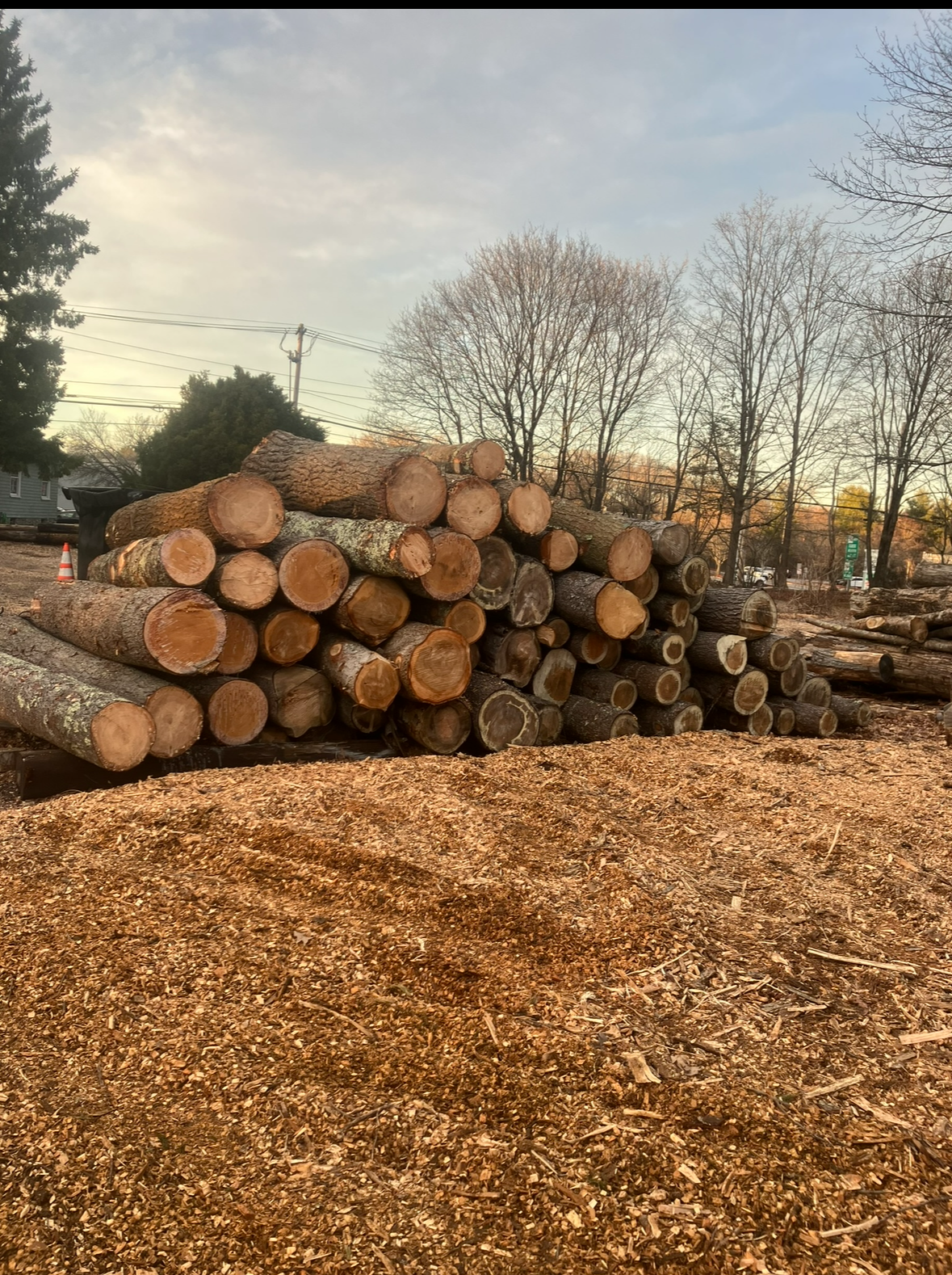 Liberty Tree Service gallery photo