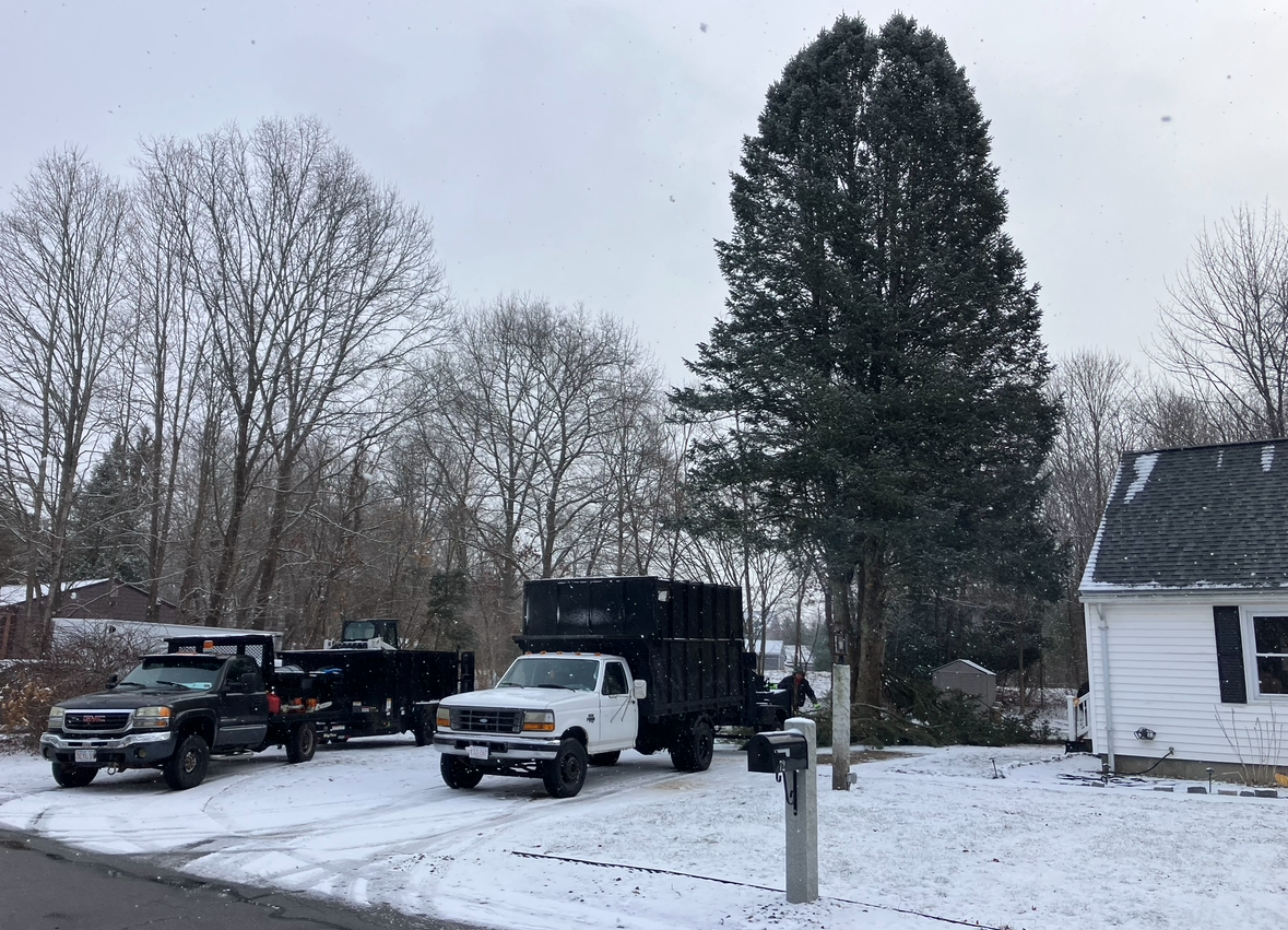Liberty Tree Service gallery photo