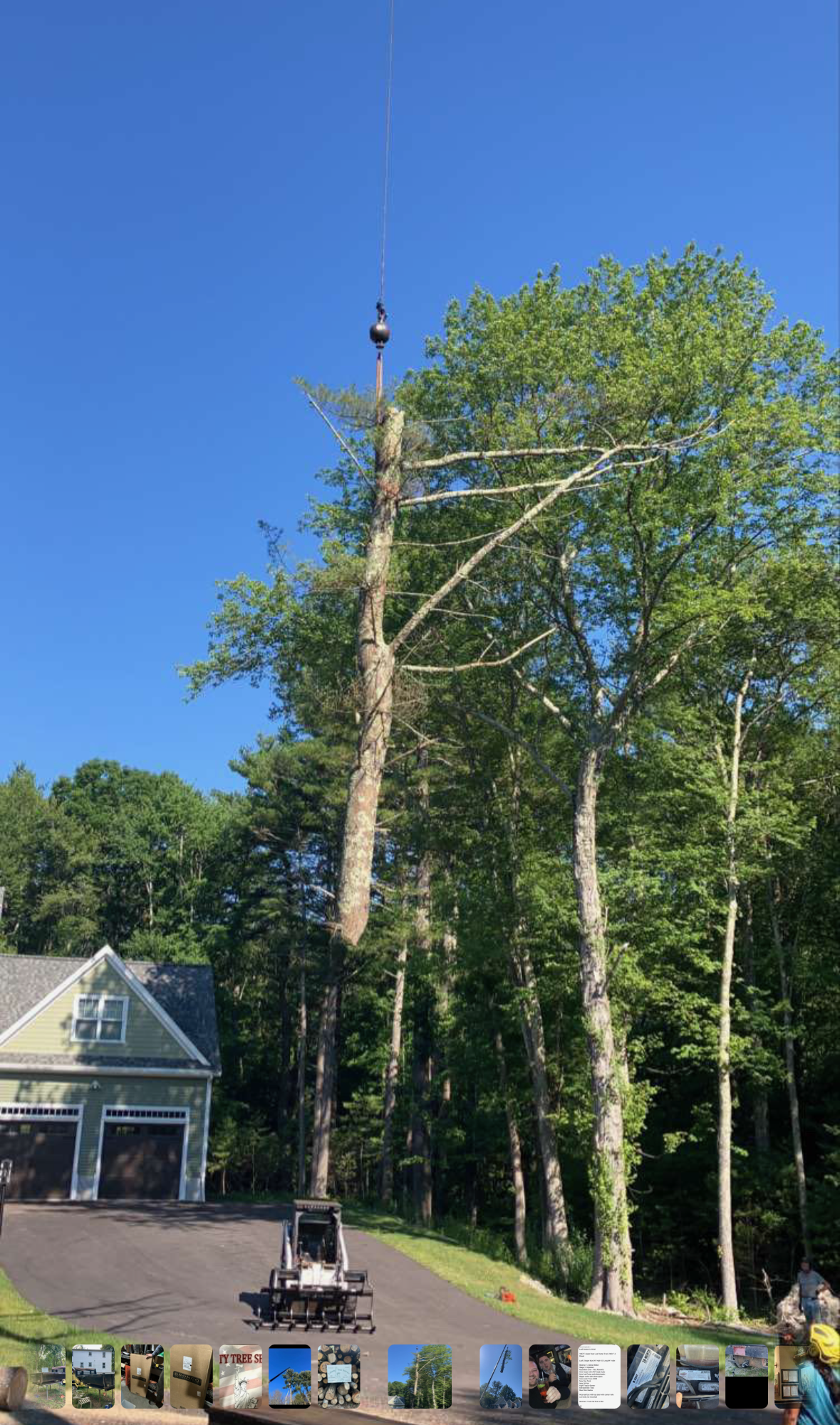 Liberty Tree Service gallery photo