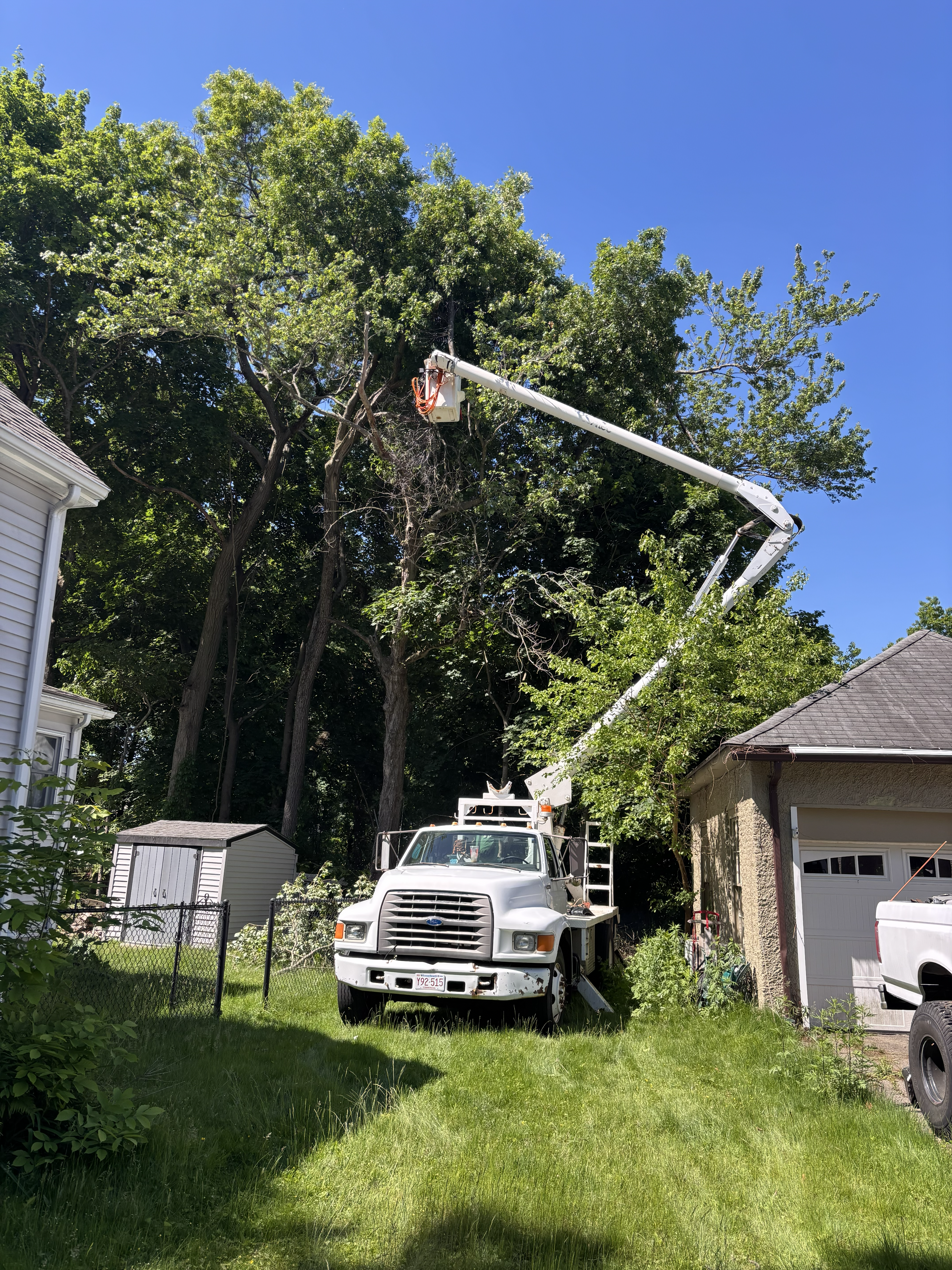 Liberty Tree Service gallery photo