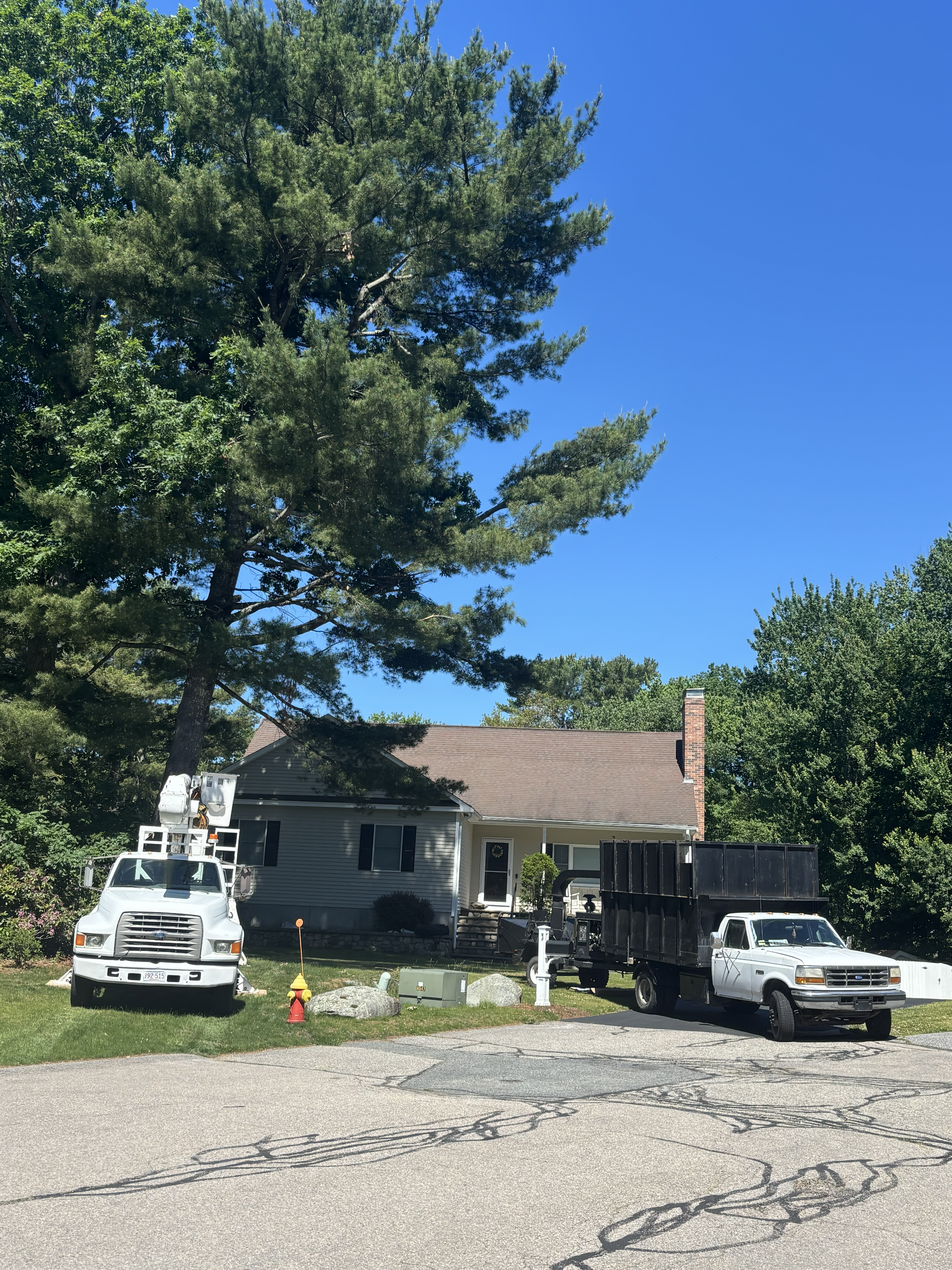Liberty Tree Service gallery photo