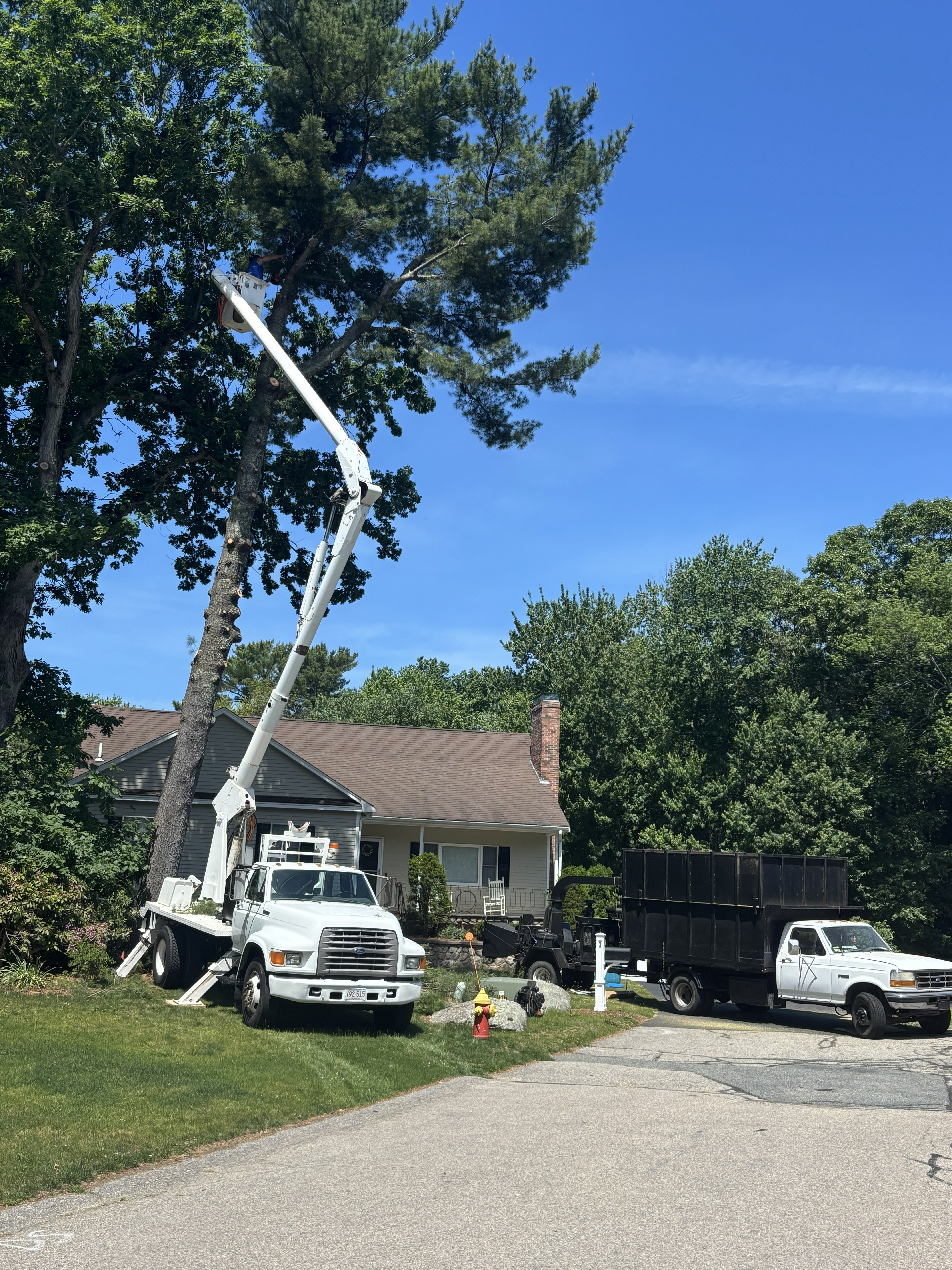 Liberty Tree Service gallery photo