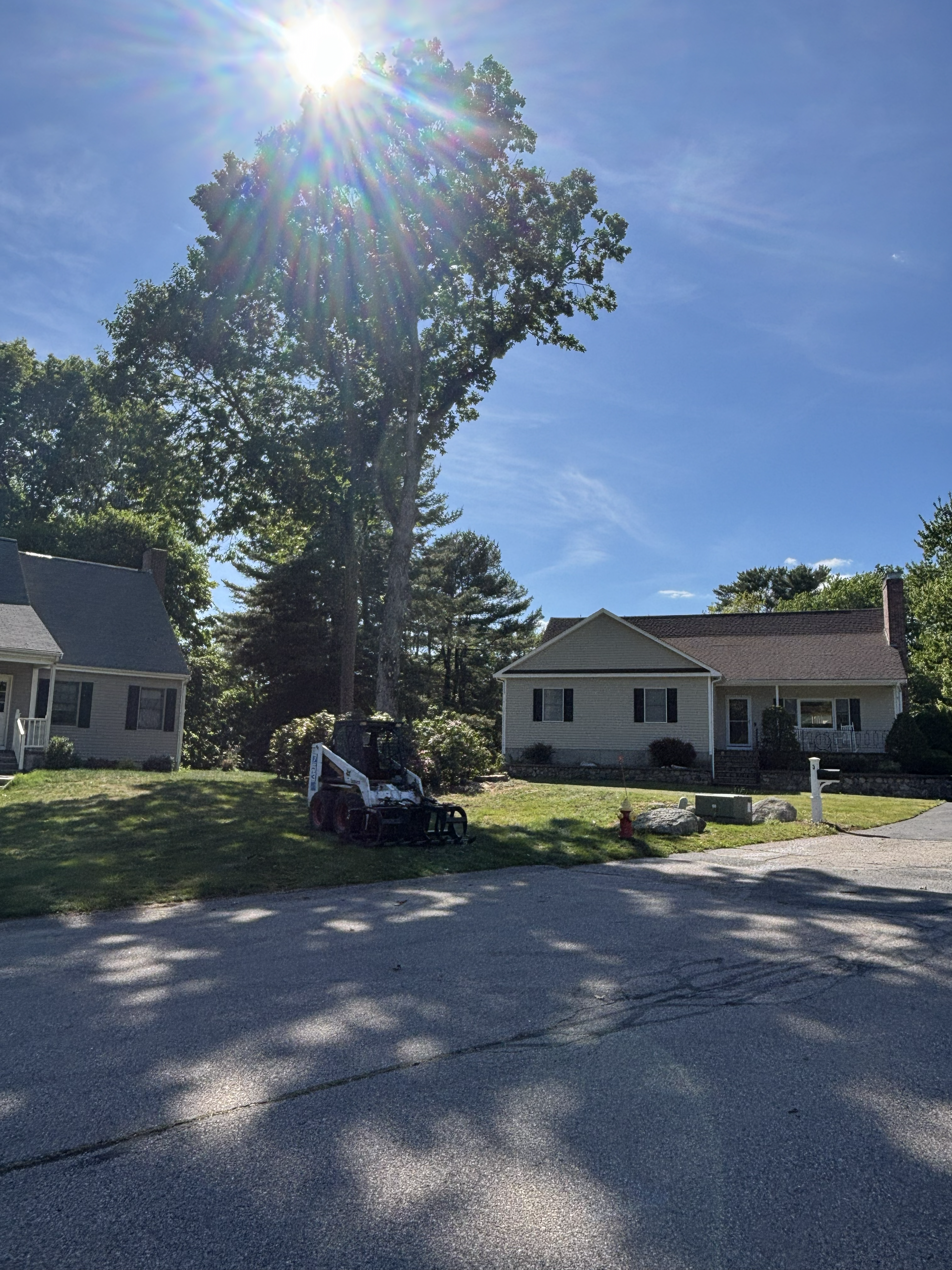 Liberty Tree Service gallery photo