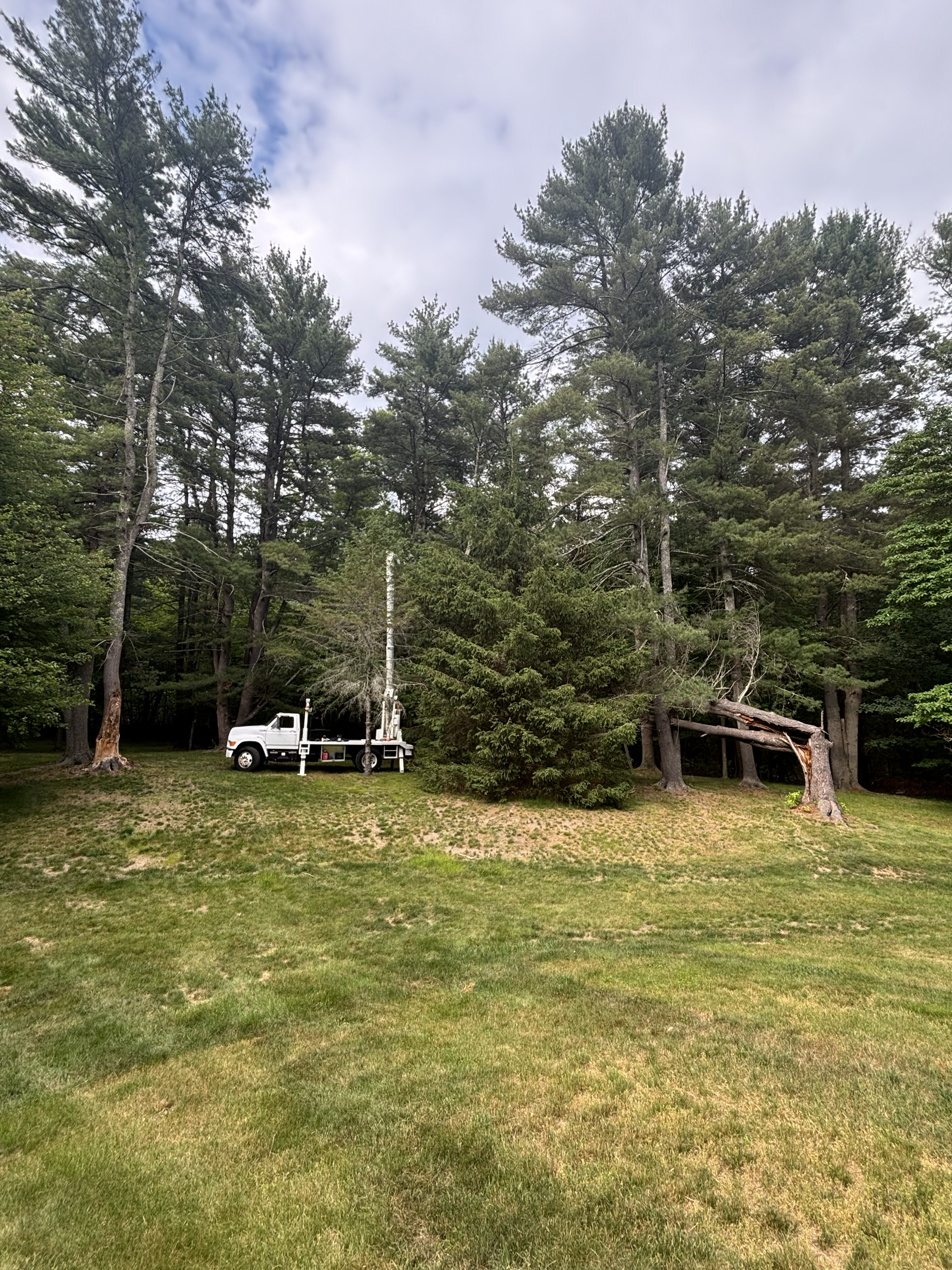Liberty Tree Service gallery photo