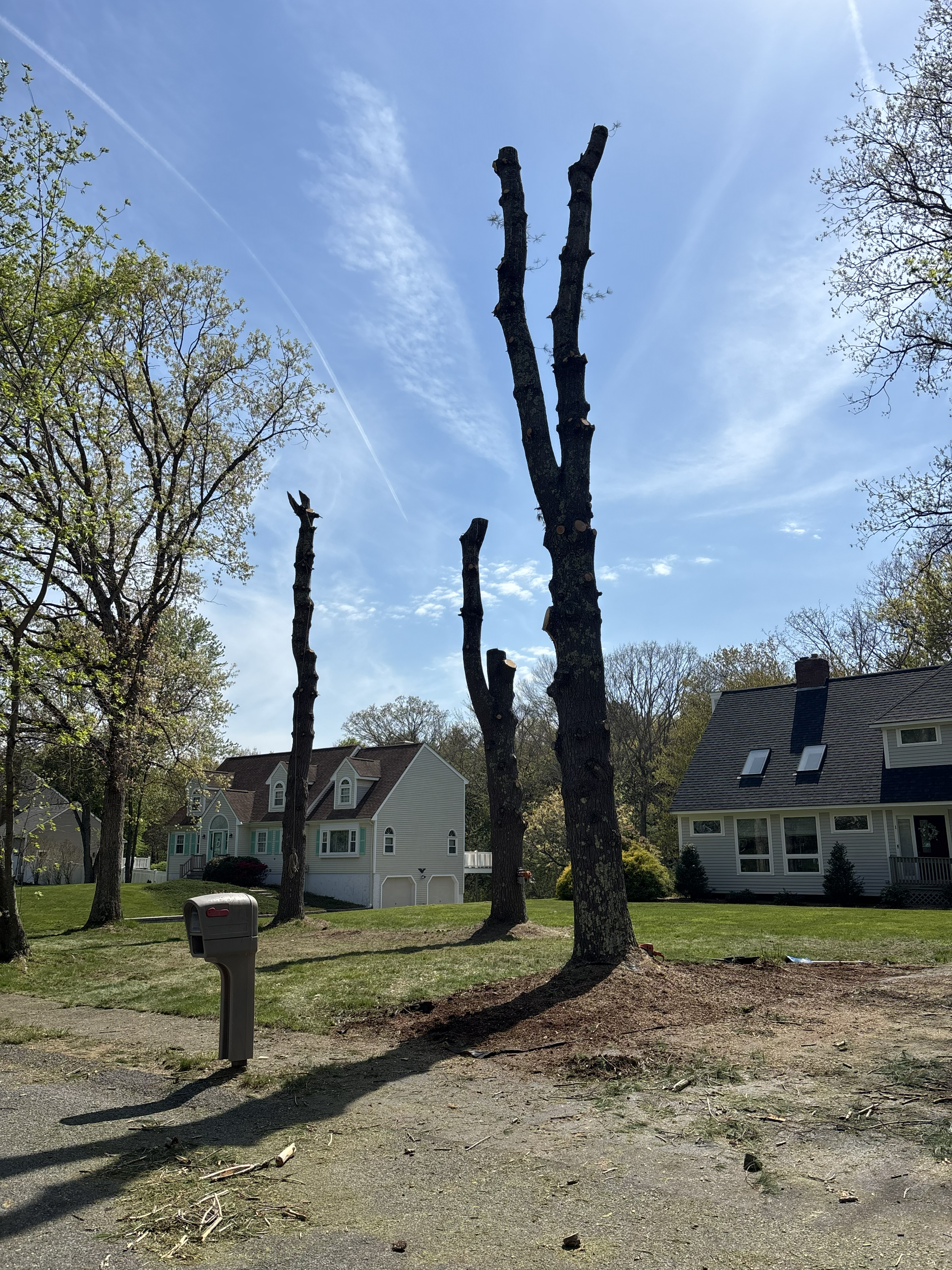 Liberty Tree Service gallery photo