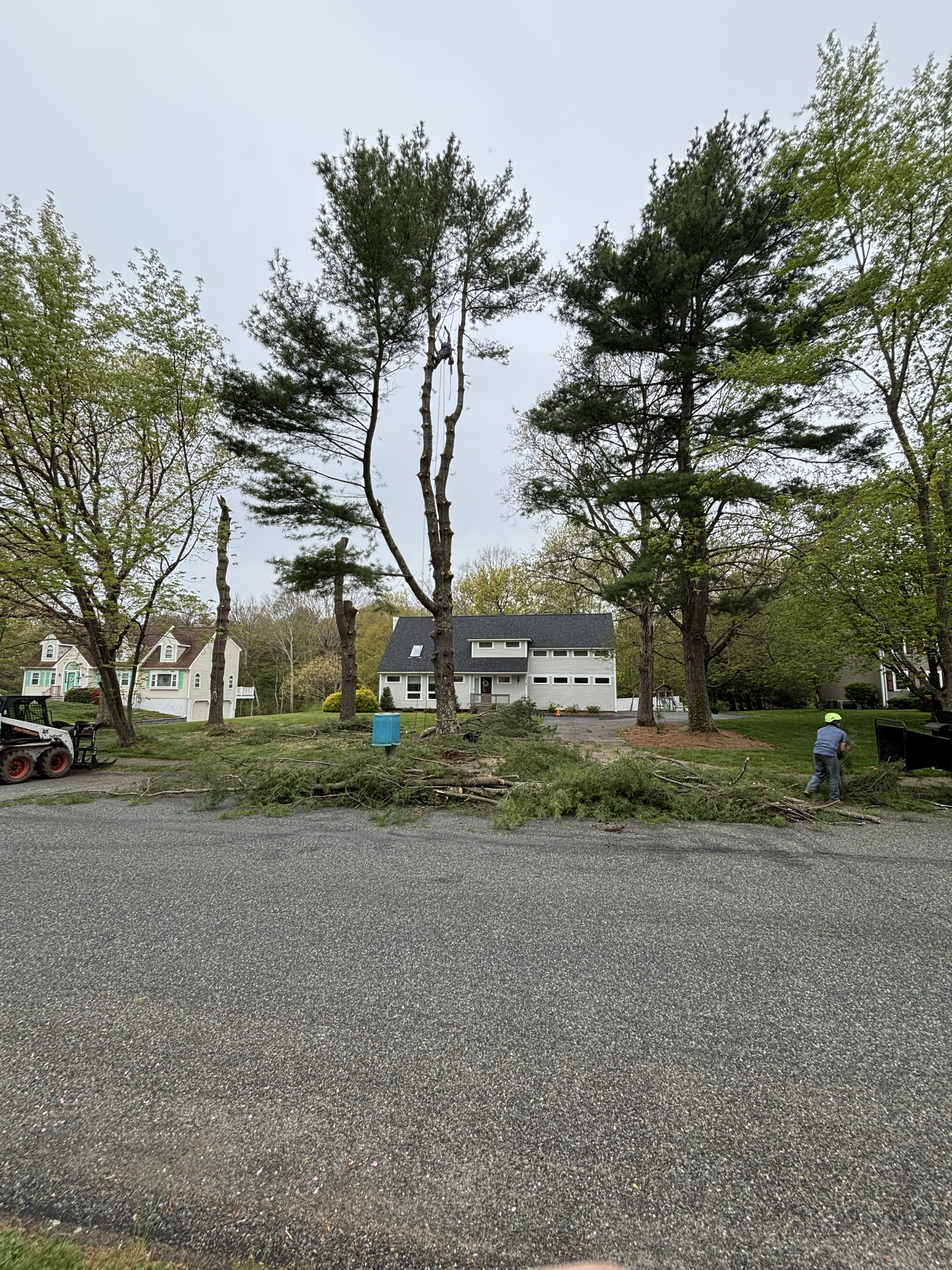 Liberty Tree Service gallery photo