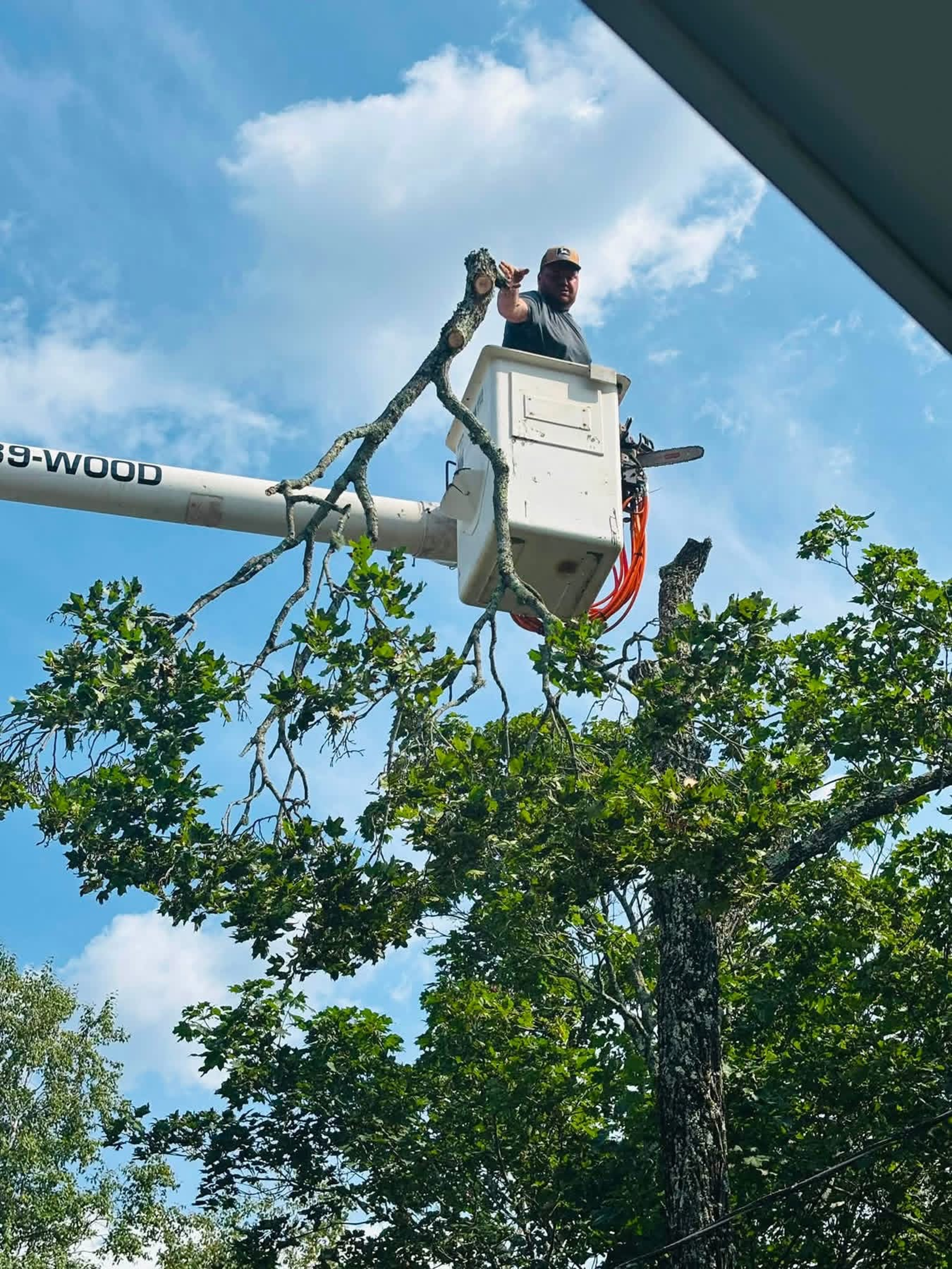 Liberty Tree Service gallery photo