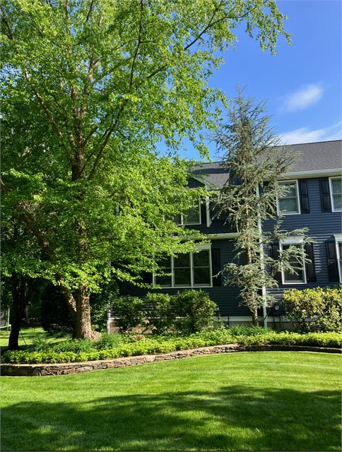 Healthy trees and landscaping in front of a home after tree work