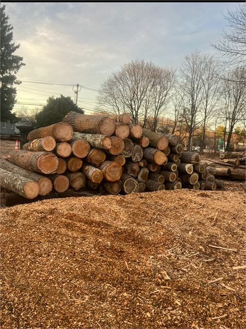 Large stack of hardwood logs and wood chips