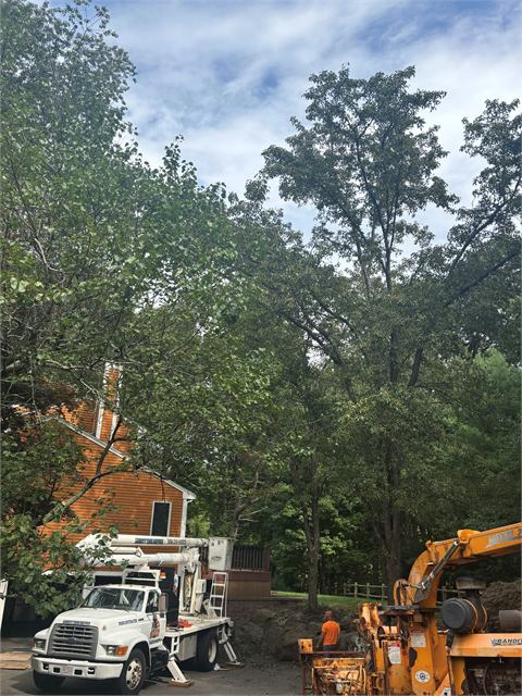 Bucket truck and chipper set up for a tree job at a home