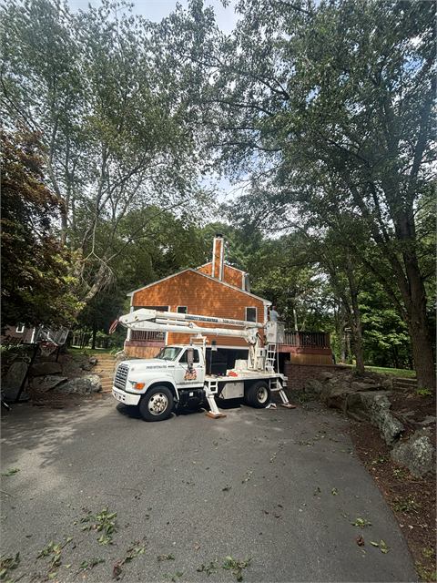 Bucket truck in a driveway during a tree job